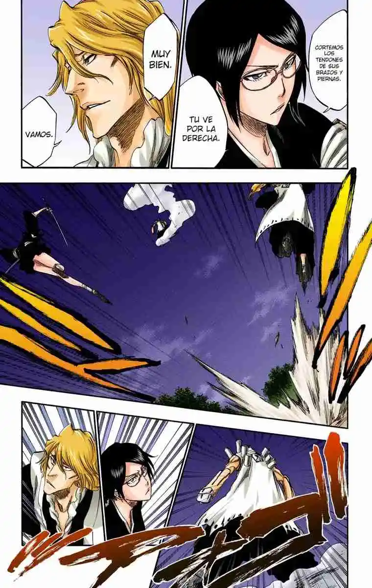 Bleach Full Color - Capítulo 315.8 - Página 10 - LectorTMOo