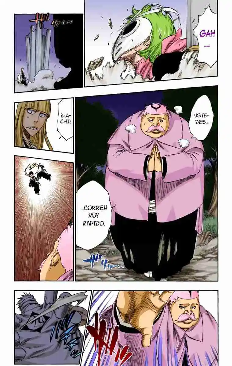 Bleach Full Color - Capítulo 315.8 - Página 16 - LectorTMOo