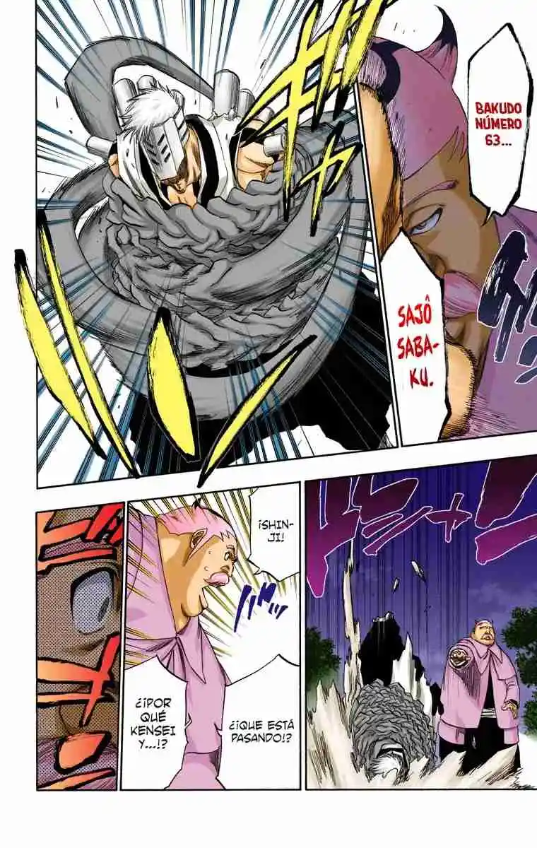 Bleach Full Color - Capítulo 315.8 - Página 17 - LectorTMOo
