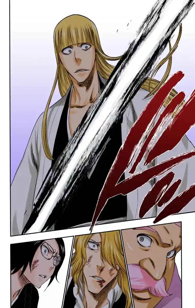 Bleach Full Color - Capítulo 315.9 - Página 13 - LectorTMOo