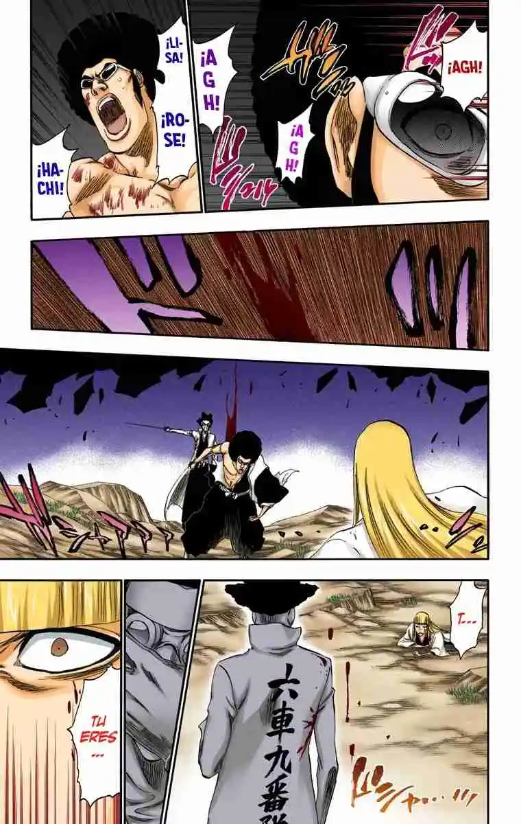 Bleach Full Color - Capítulo 315.9 - Página 16 - LectorTMOo