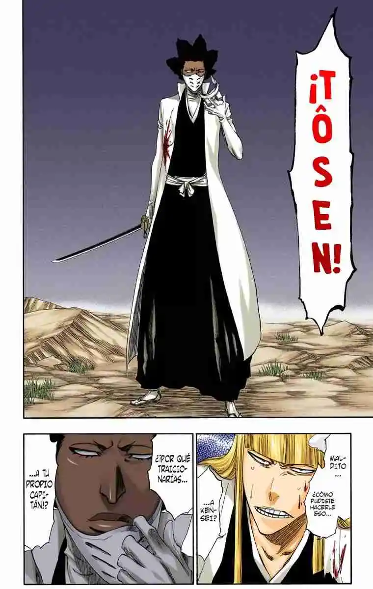 Bleach Full Color - Capítulo 315.9 - Página 17 - LectorTMOo