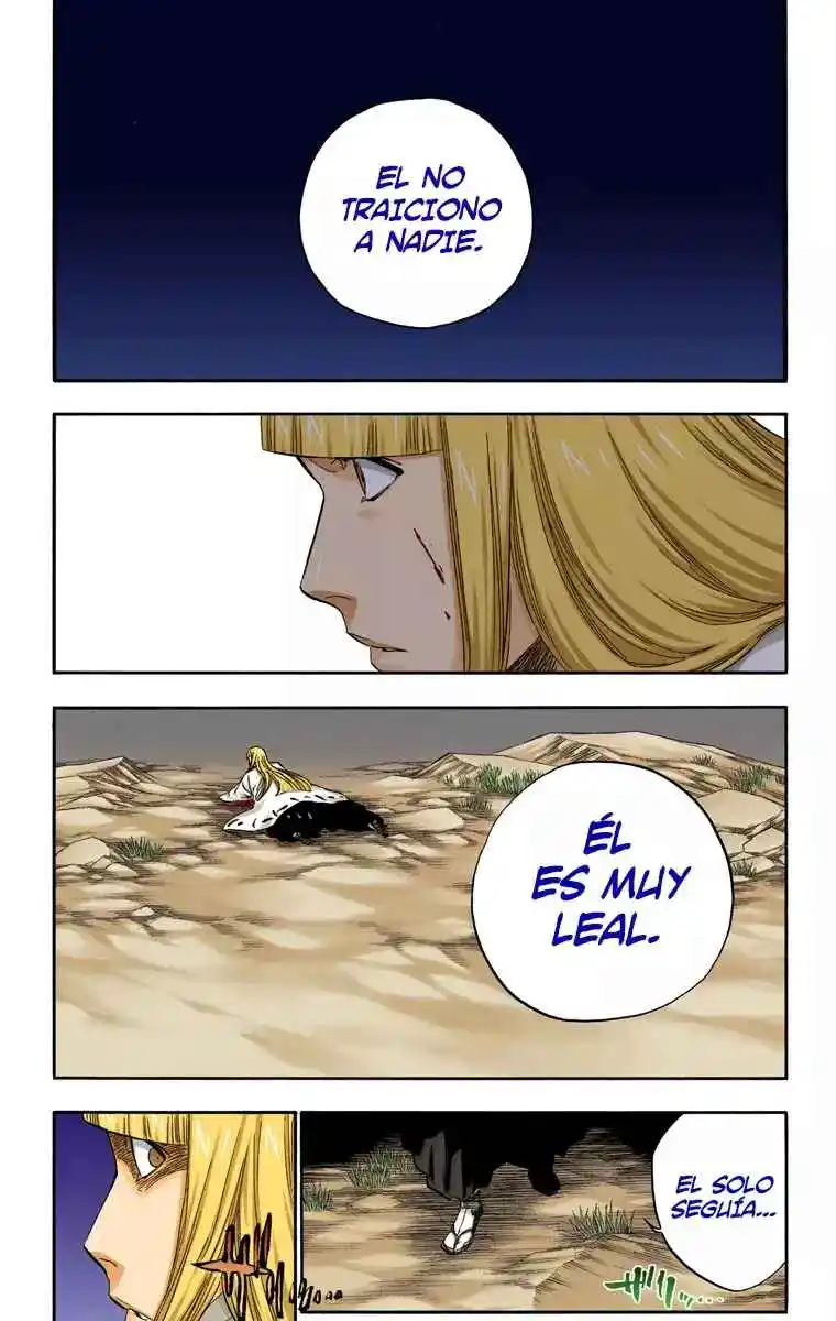 Bleach Full Color - Capítulo 315.9 - Página 18 - LectorTMOo