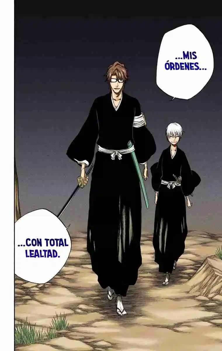 Bleach Full Color - Capítulo 315.9 - Página 19 - LectorTMOo