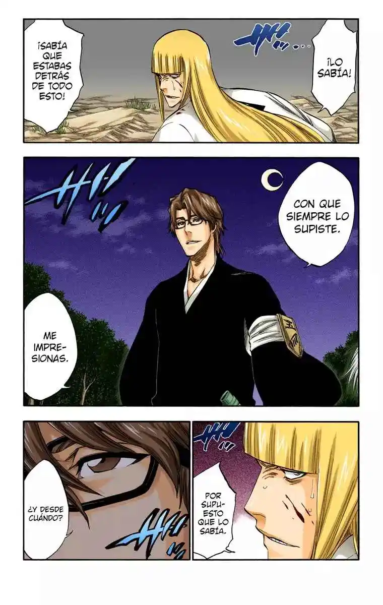 Bleach Full Color - Capítulo 315.95 - Página 9 - LectorTMOo