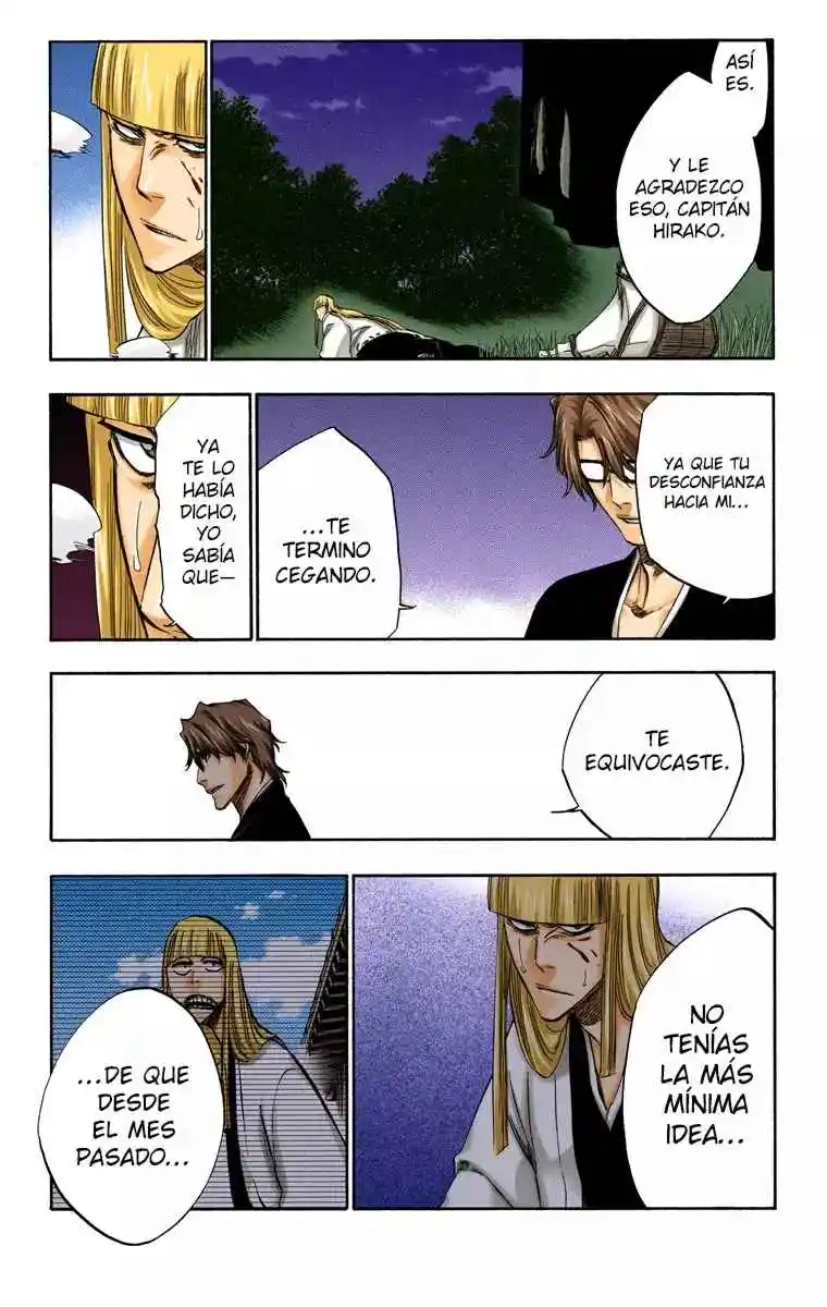 Bleach Full Color - Capítulo 315.95 - Página 11 - LectorTMOo