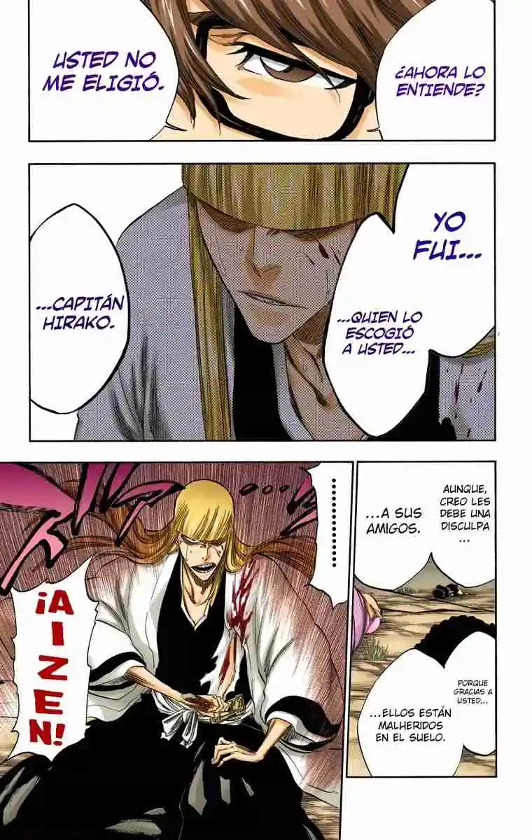 Bleach Full Color - Capítulo 315.95 - Página 17 - LectorTMOo