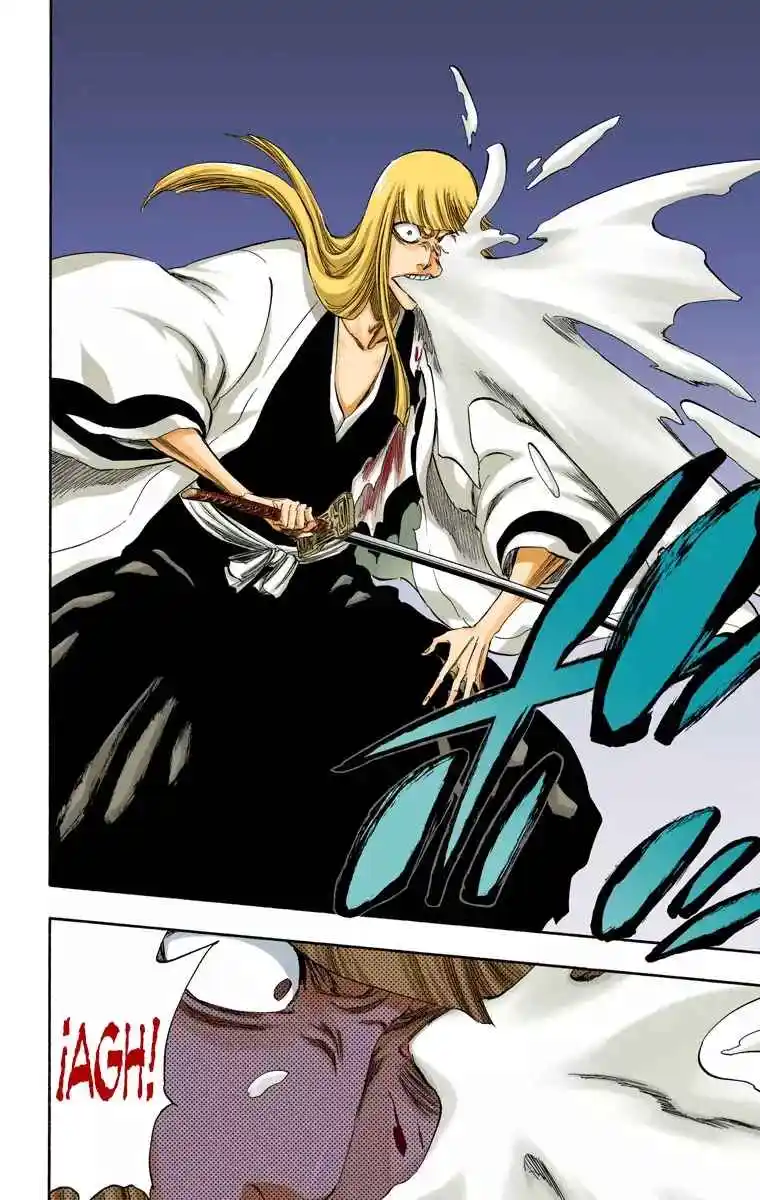 Bleach Full Color - Capítulo 315.95 - Página 18 - LectorTMOo