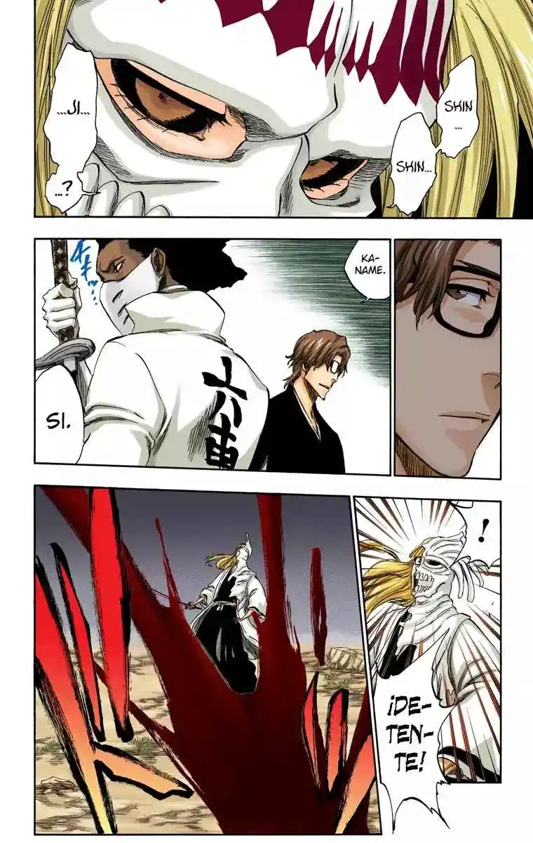Bleach Full Color - Capítulo 315.95 - Página 22 - LectorTMOo