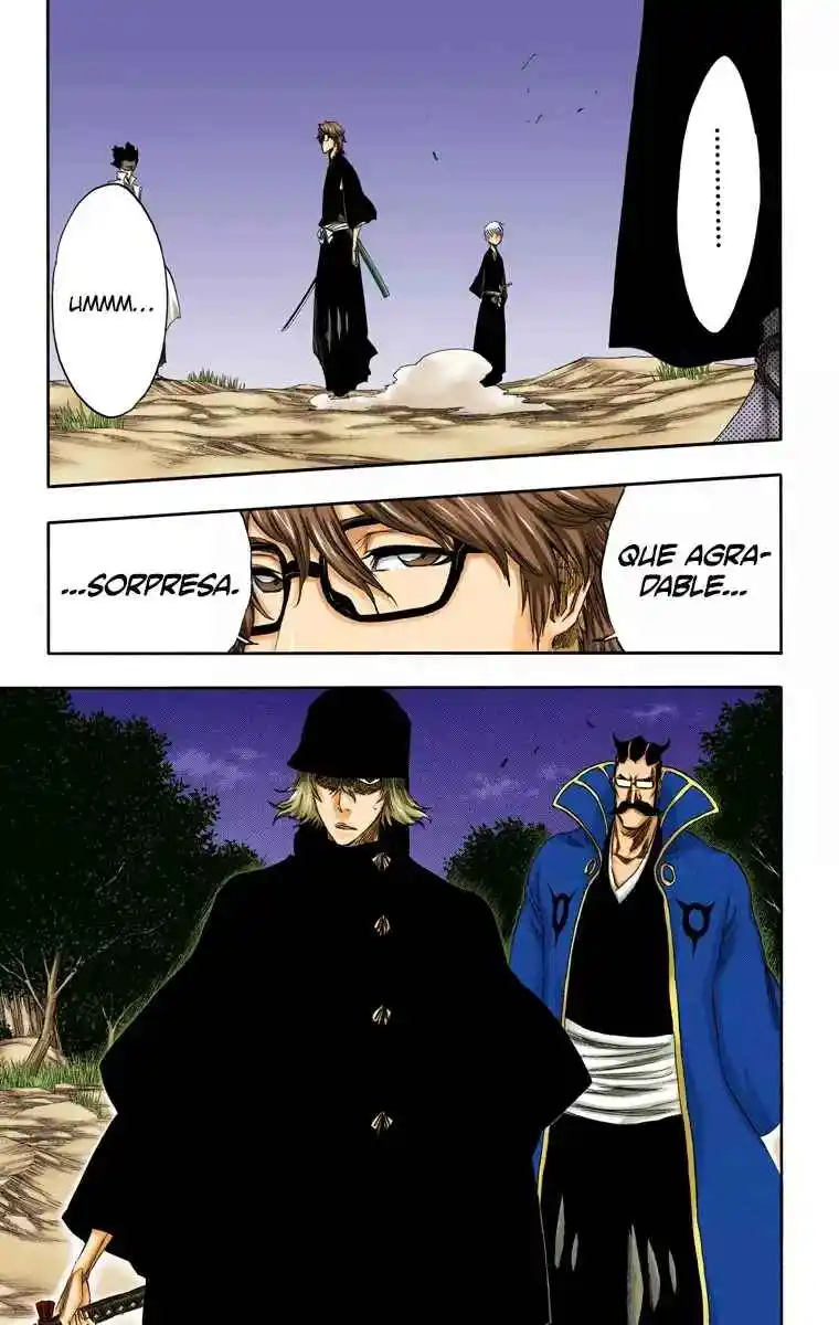 Bleach Full Color - Capítulo 315.95 - Página 27 - LectorTMOo