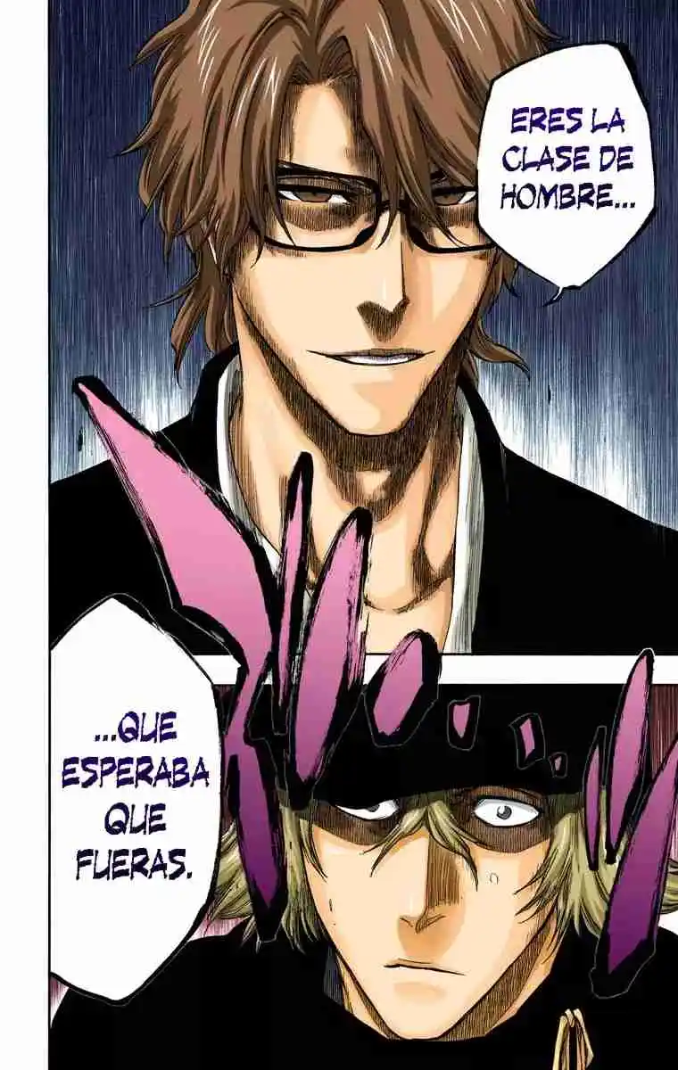 Bleach Full Color - Capítulo 315.96 - Página 9 - LectorTMOo