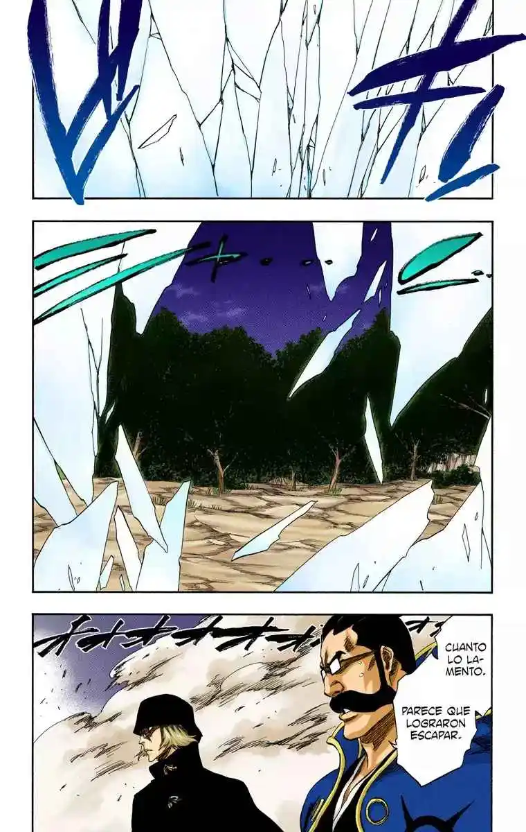Bleach Full Color - Capítulo 315.96 - Página 14 - LectorTMOo