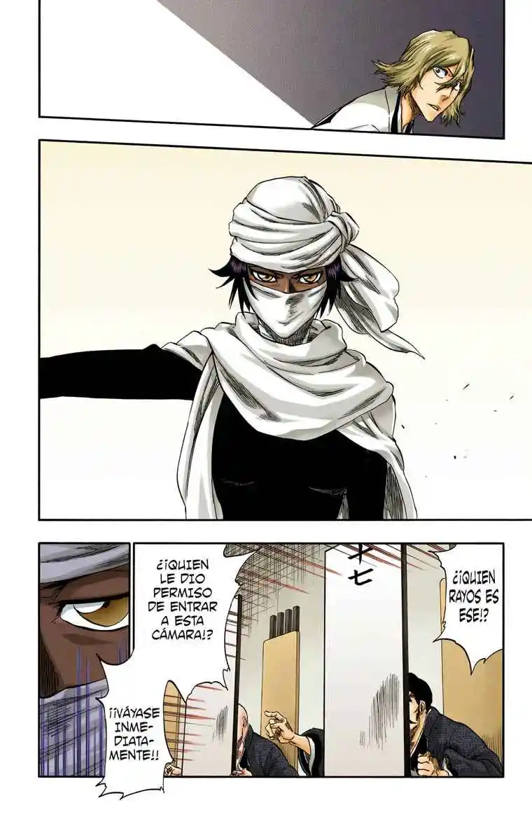 Bleach Full Color - Capítulo 315.97 - Página 13 - LectorTMOo