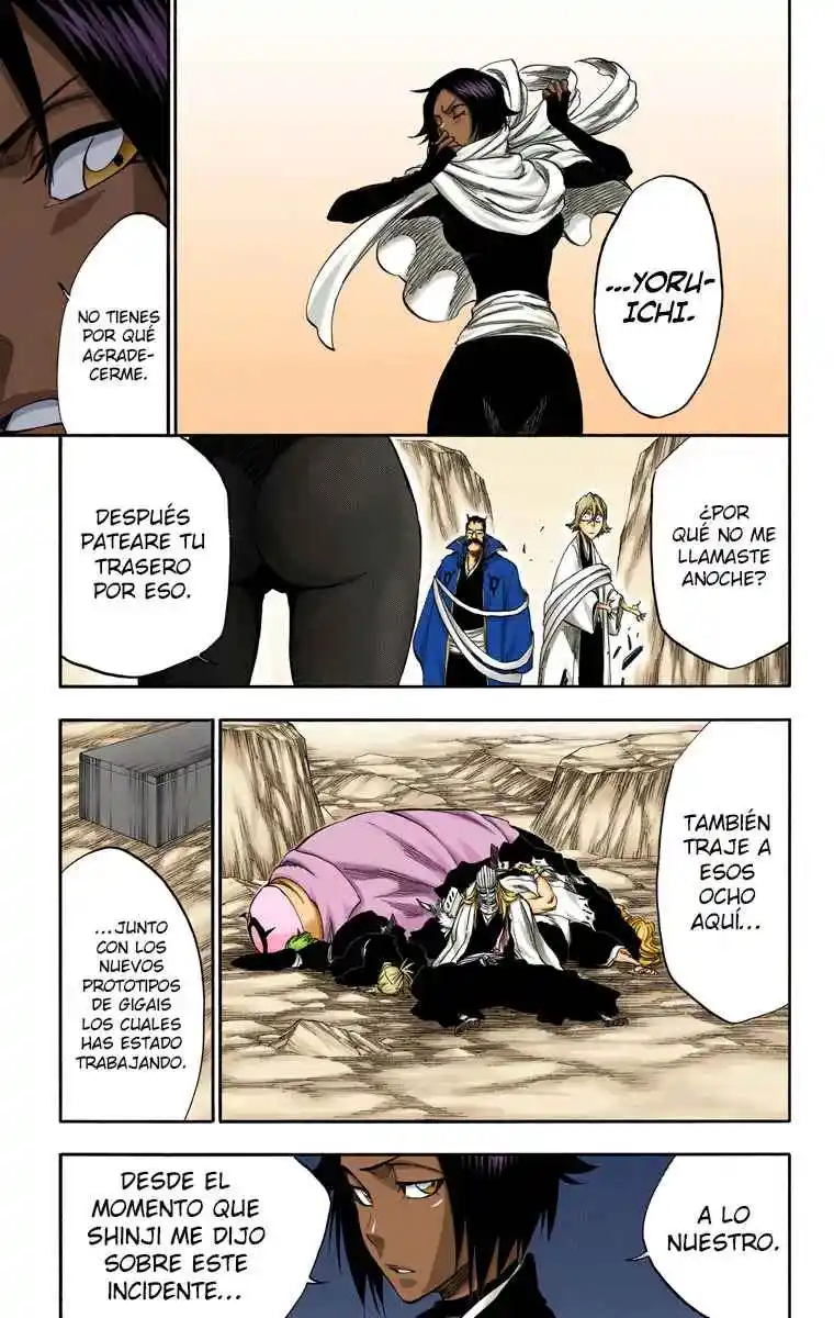 Bleach Full Color - Capítulo 315.97 - Página 16 - LectorTMOo