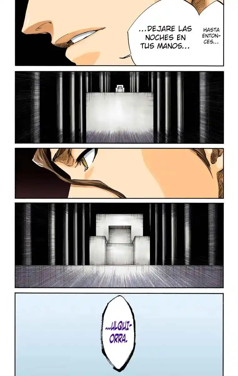 Bleach Full Color - Capítulo 315 - Página 13 - LectorTMOo