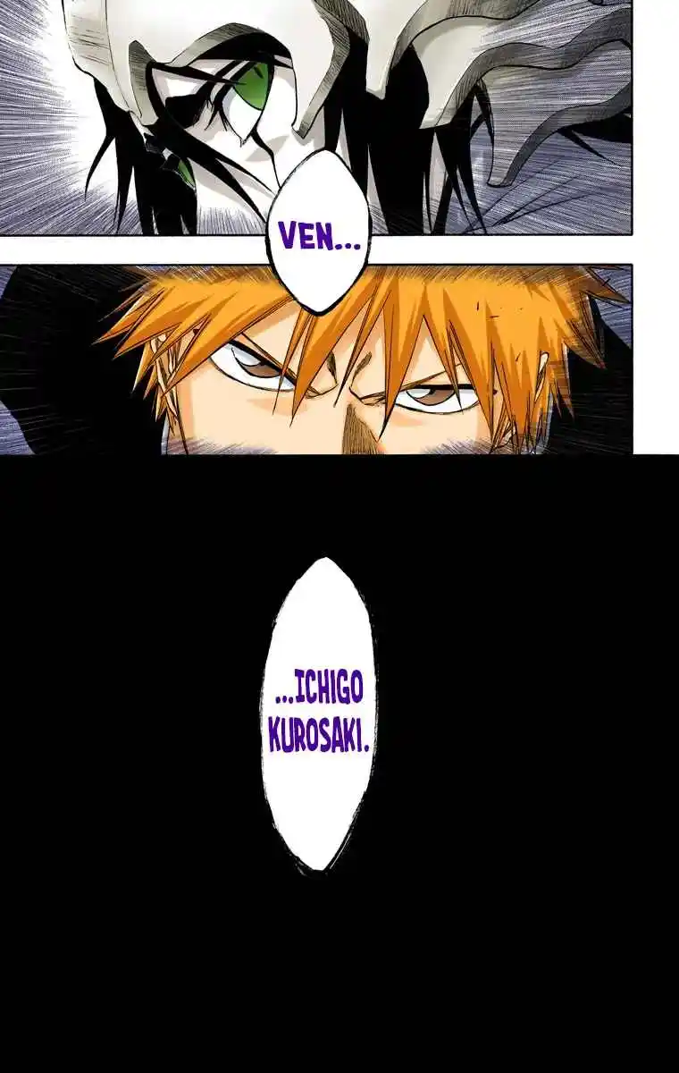 Bleach Full Color - Capítulo 315 - Página 17 - LectorTMOo