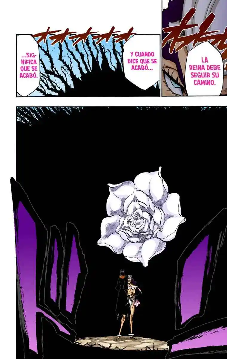 Bleach Full Color - Capítulo 321 - Página 13 - LectorTMOo