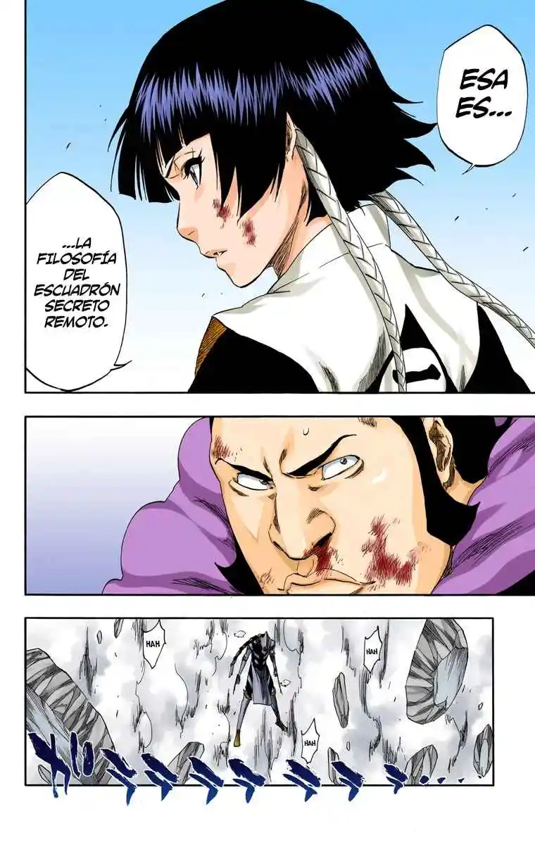 Bleach Full Color - Capítulo 333 - Página 5 - LectorTMOo