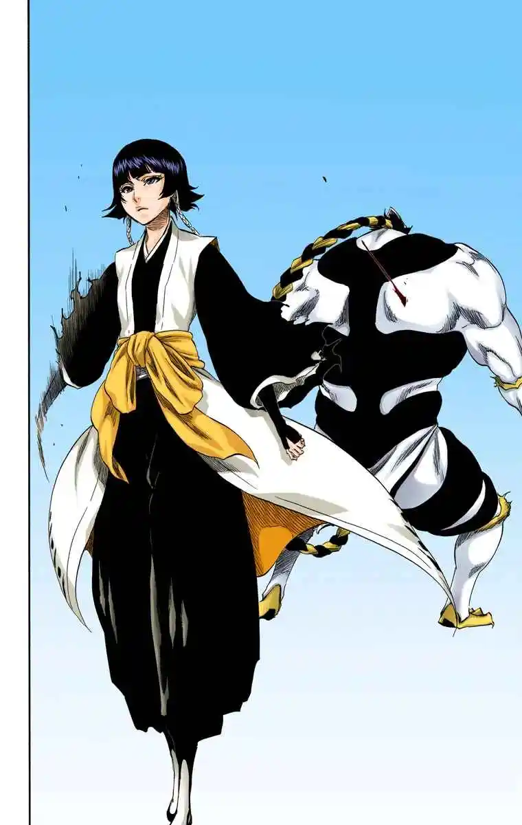 Bleach Full Color - Capítulo 333 - Página 9 - LectorTMOo