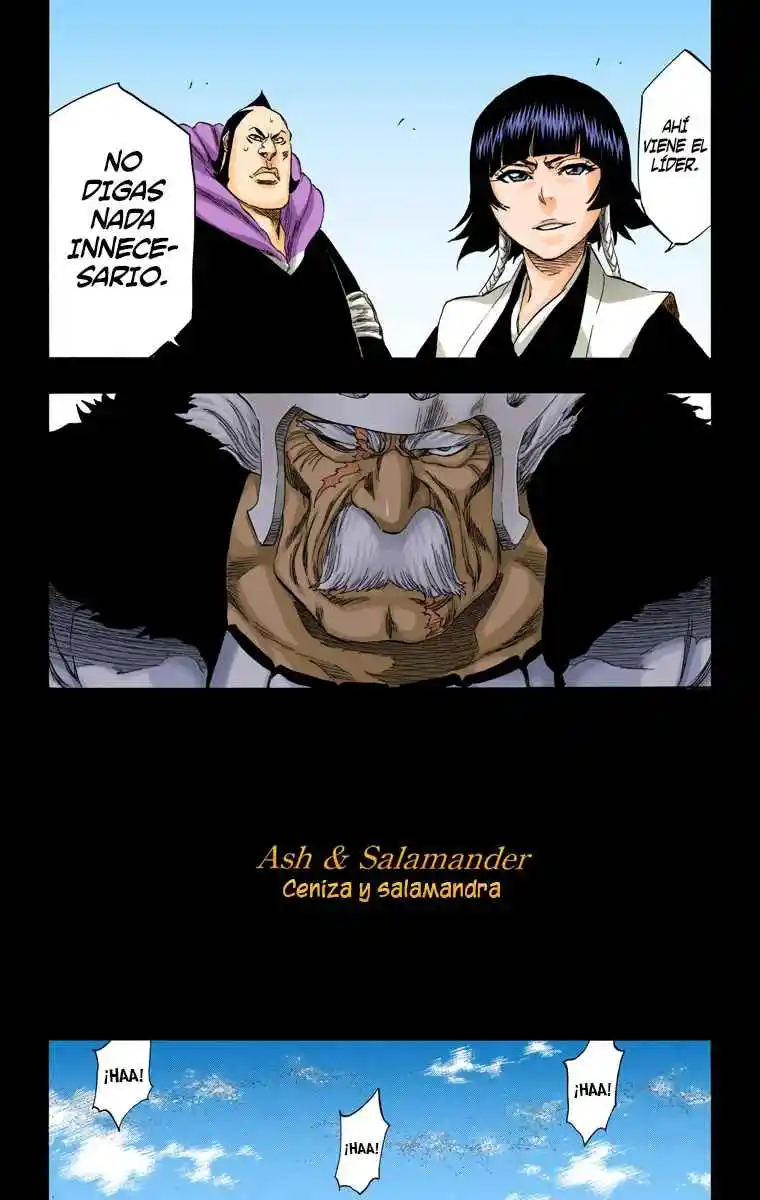 Bleach Full Color - Capítulo 333 - Página 14 - LectorTMOo