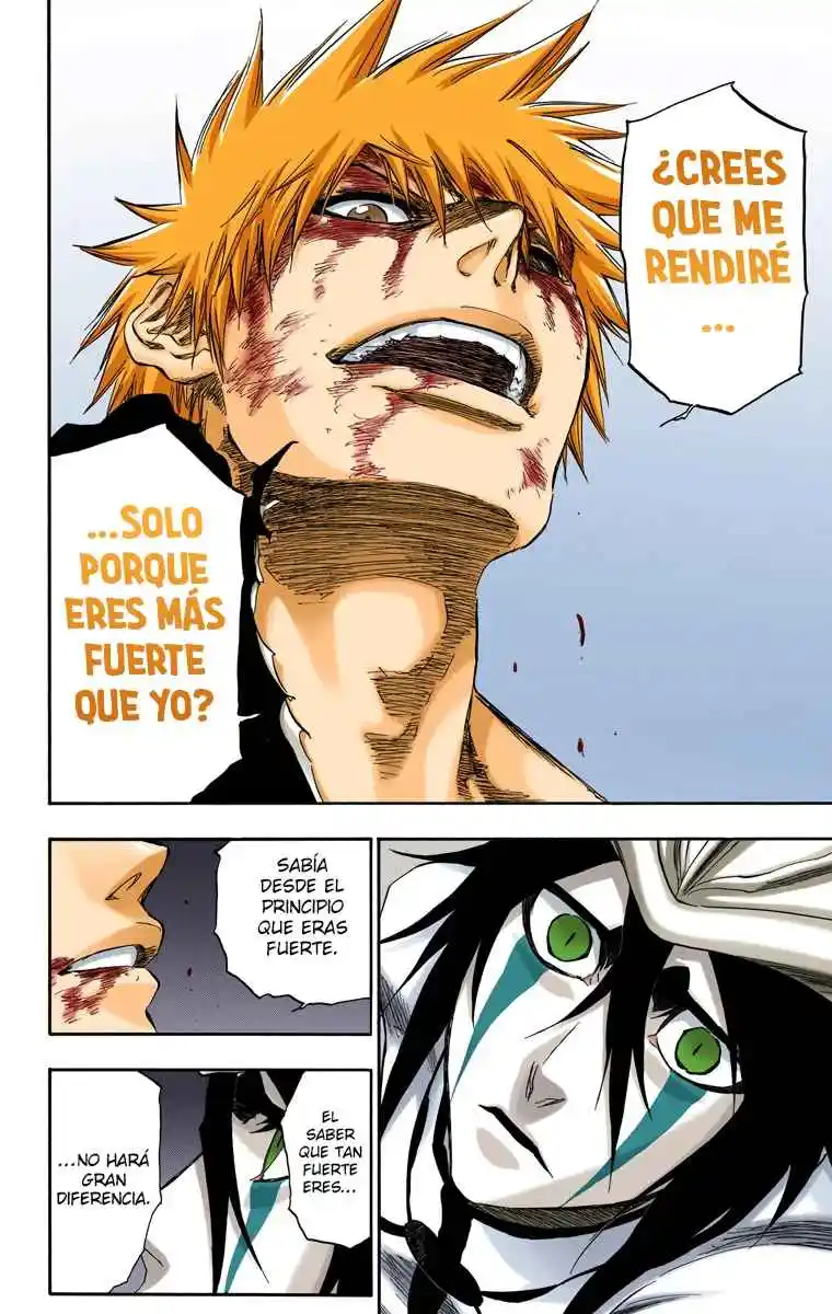 Bleach Full Color - Capítulo 347 - Página 17 - LectorTMOo