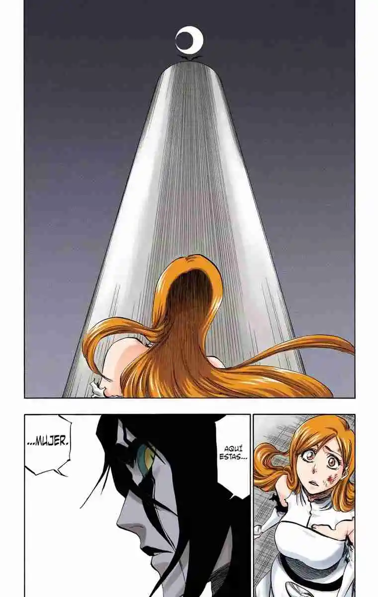 Bleach Full Color - Capítulo 348 - Página 17 - LectorTMOo
