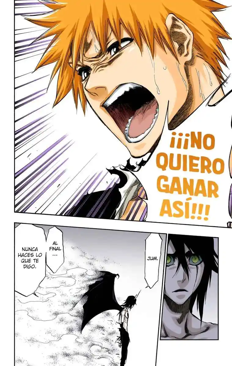 Bleach Full Color - Capítulo 353 - Página 19 - LectorTMOo