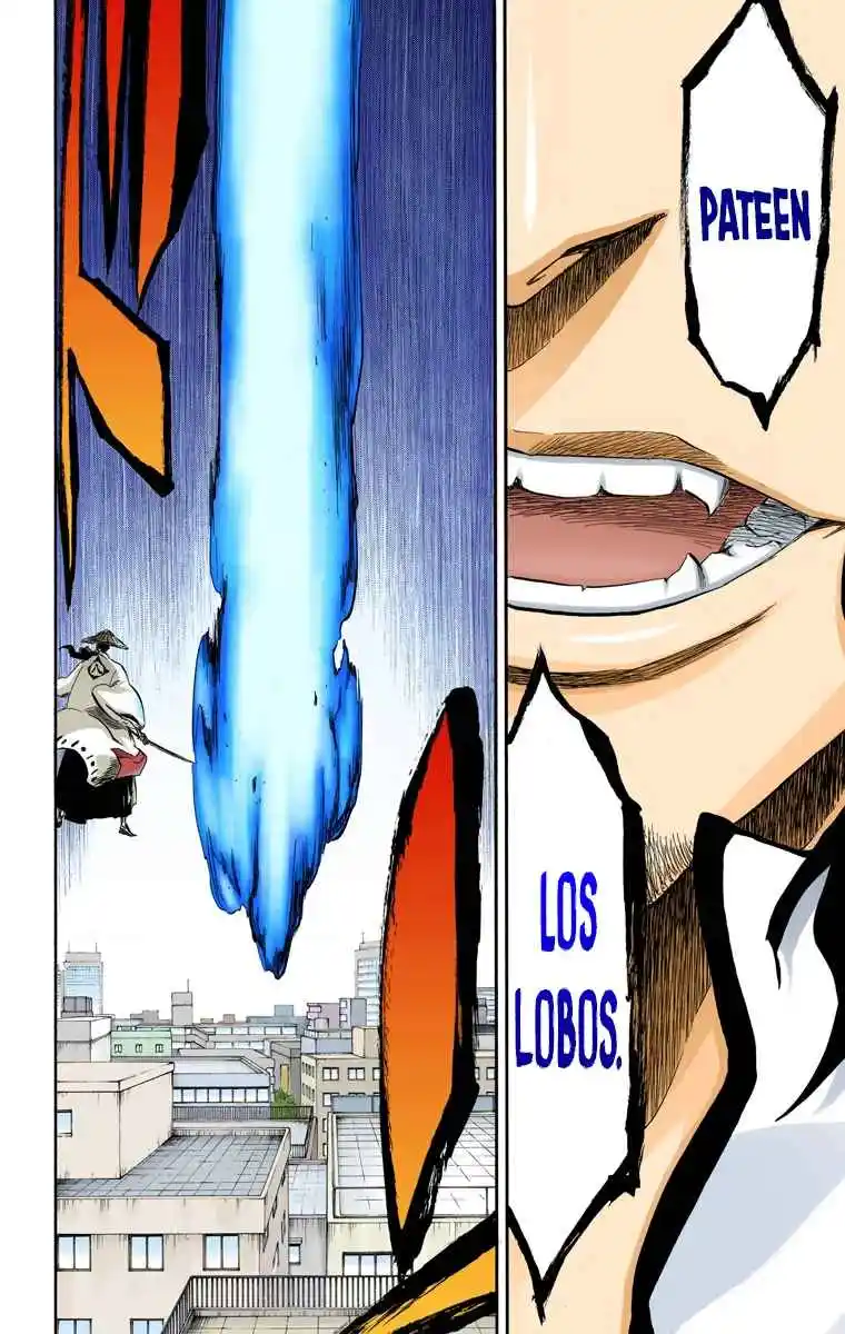 Bleach Full Color - Capítulo 361 - Página 17 - LectorTMOo