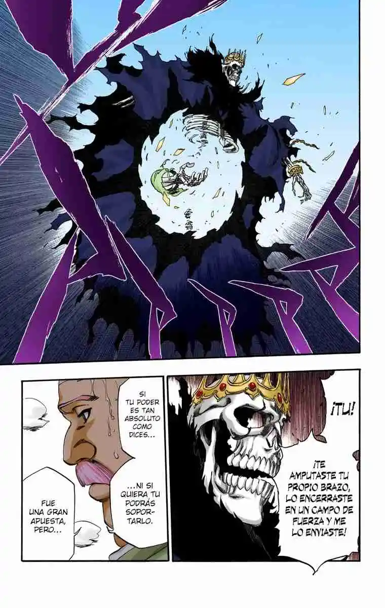 Bleach Full Color - Capítulo 370 - Página 18 - LectorTMOo