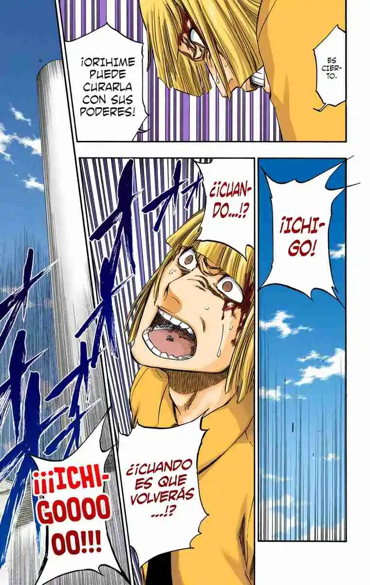 Bleach Full Color - Capítulo 377 - Página 17 - LectorTMOo
