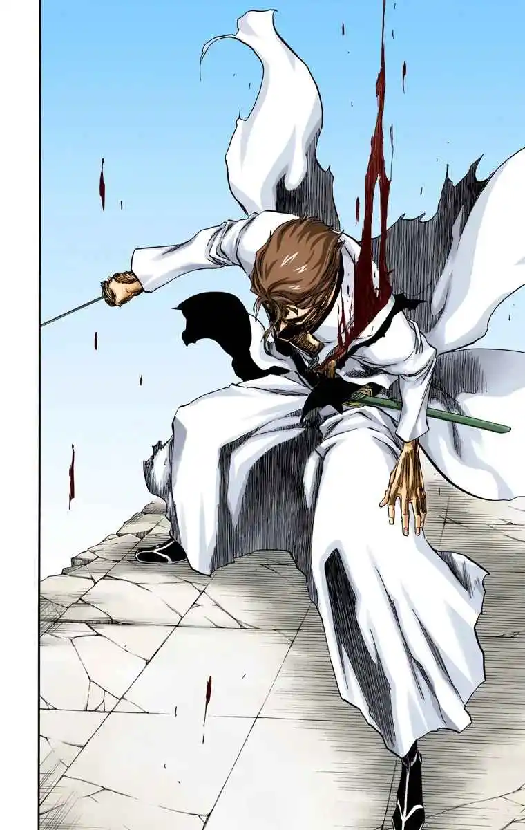 Bleach Full Color - Capítulo 396 - Página 14 - LectorTMOo