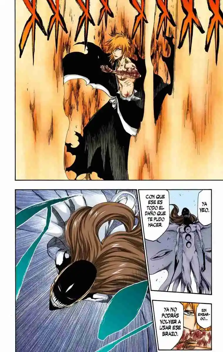 Bleach Full Color - Capítulo 419 - Página 14 - LectorTMOo