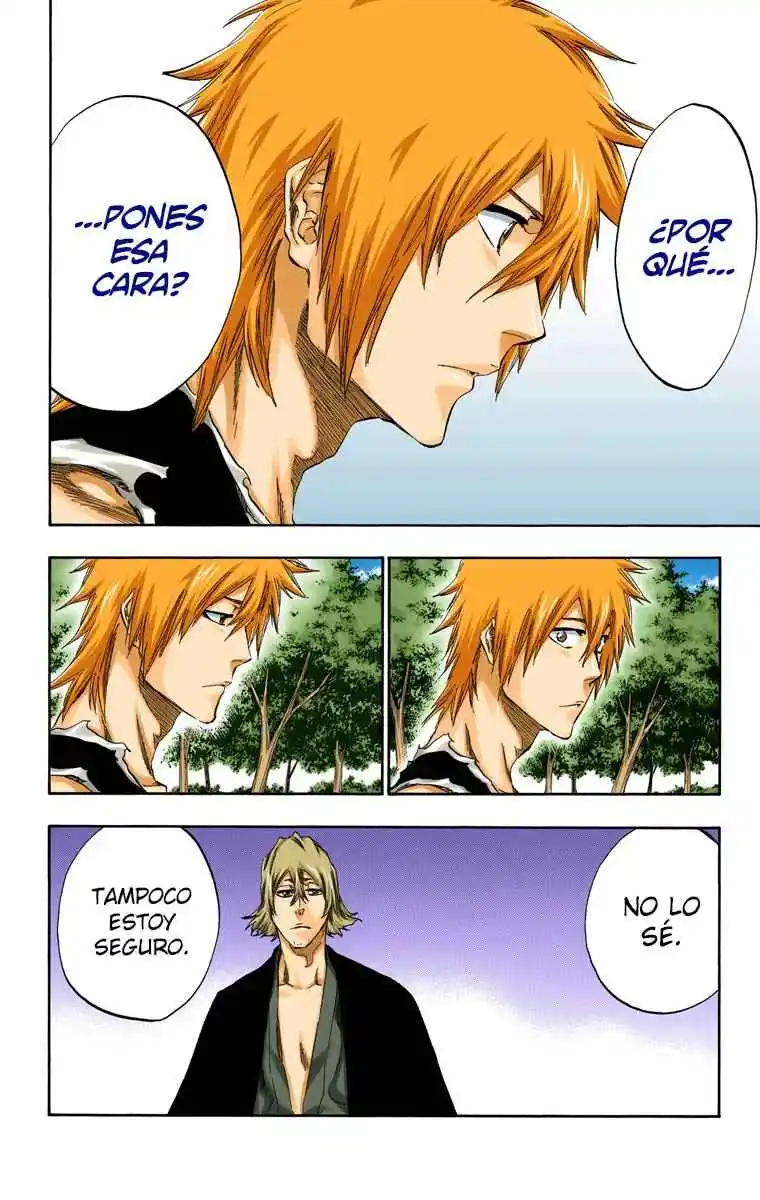 Bleach Full Color - Capítulo 422 - Página 13 - LectorTMOo