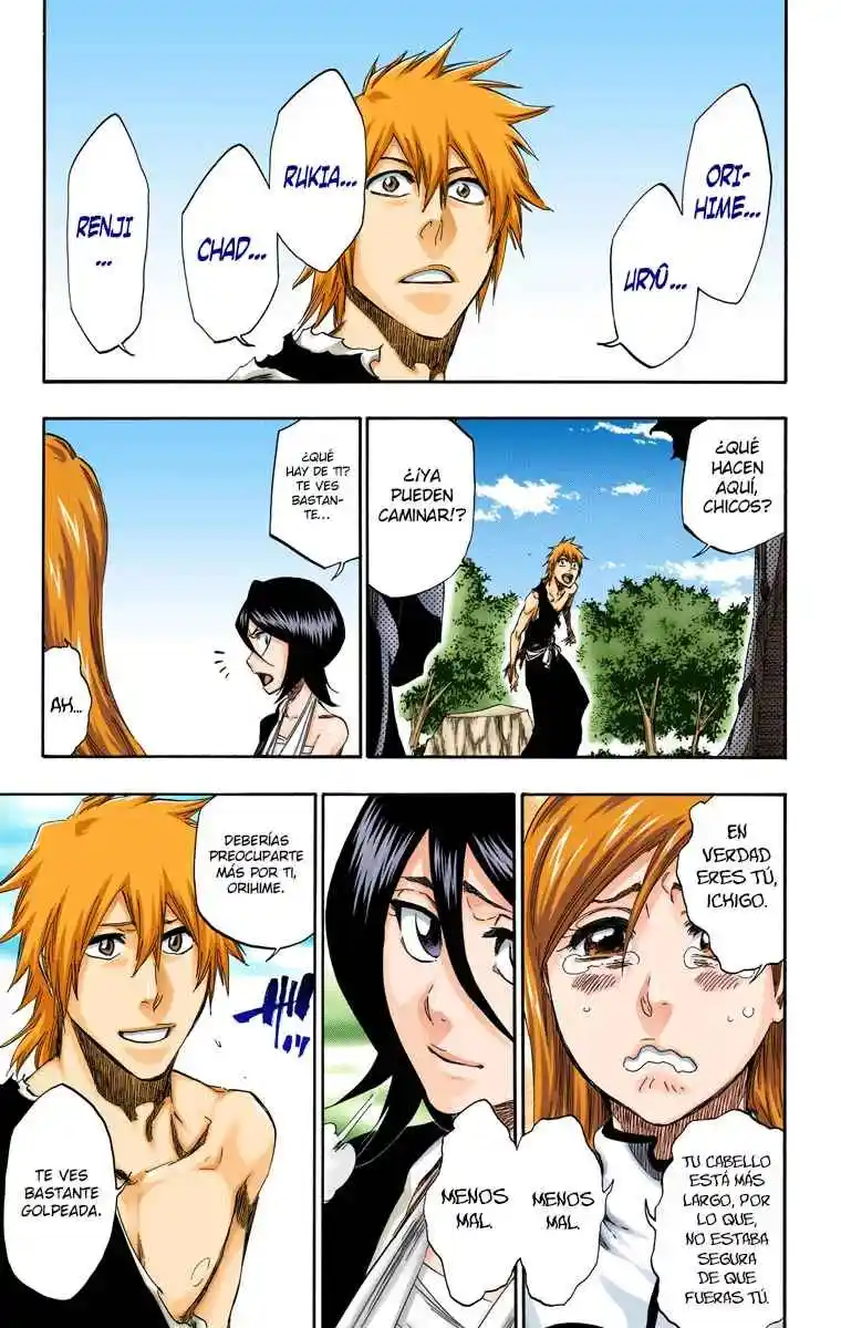Bleach Full Color - Capítulo 422 - Página 18 - LectorTMOo