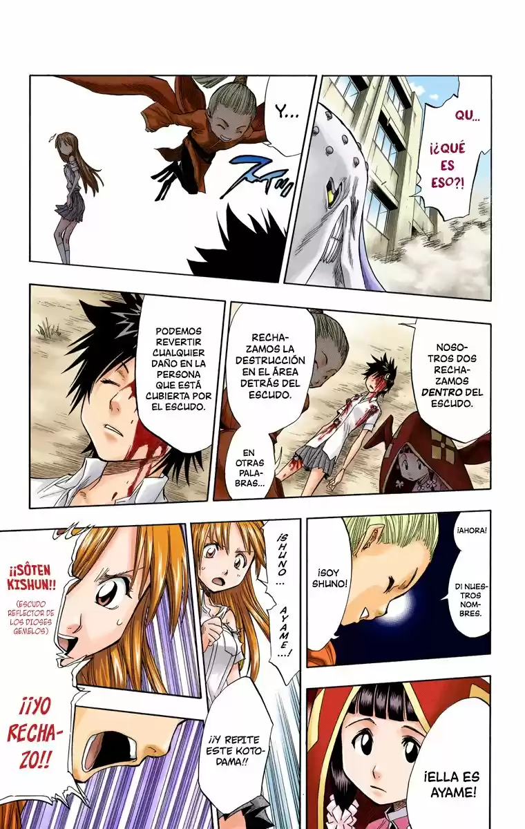 Bleach Full Color - Capítulo 43 - Página 14 - LectorTMOo