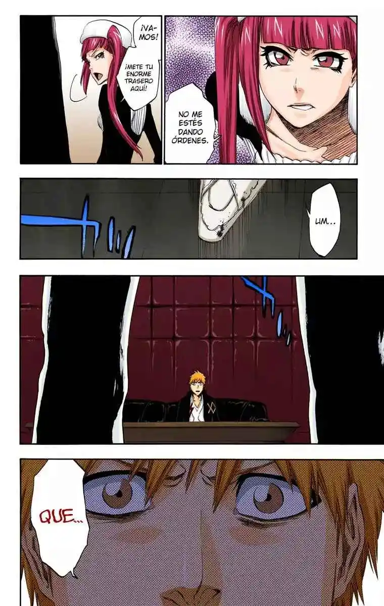 Bleach Full Color - Capítulo 432 - Página 19 - LectorTMOo