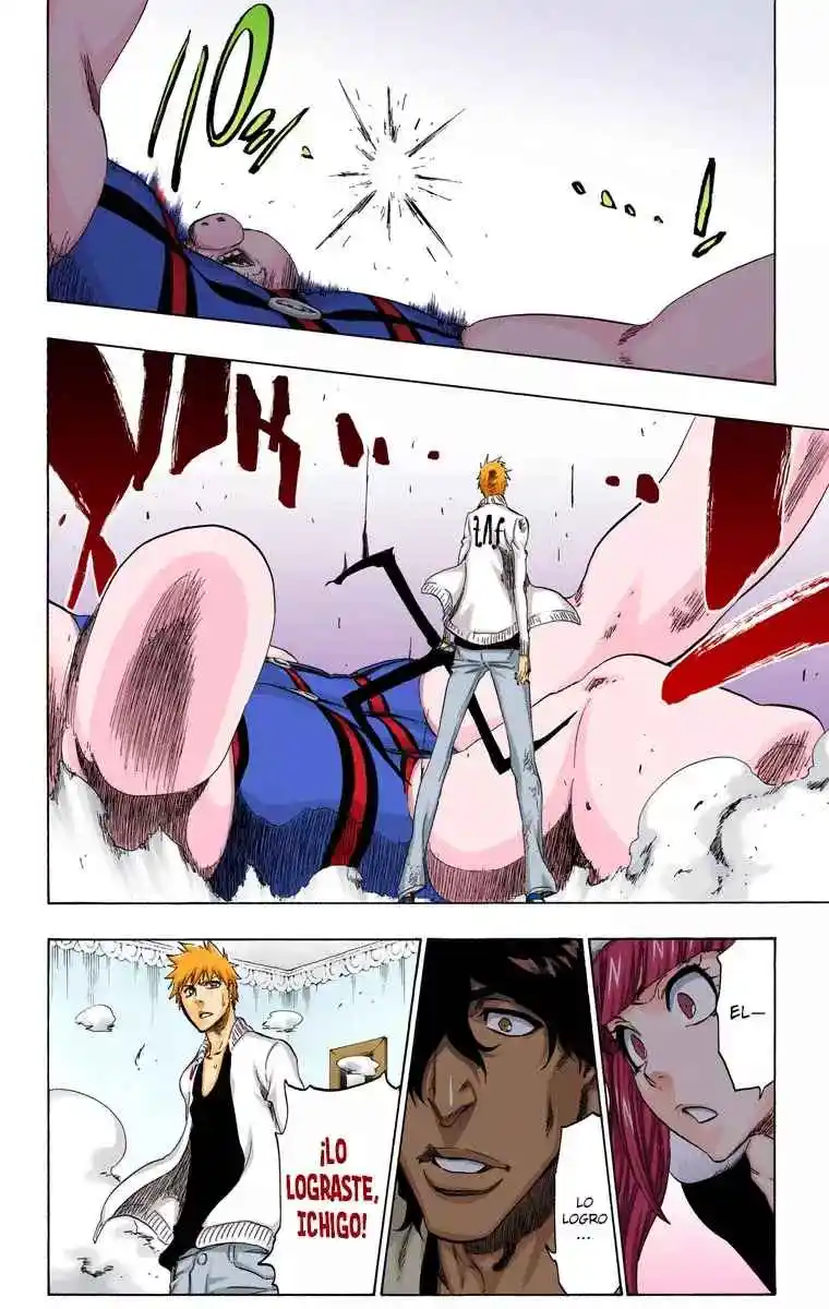 Bleach Full Color - Capítulo 437 - Página 17 - LectorTMOo