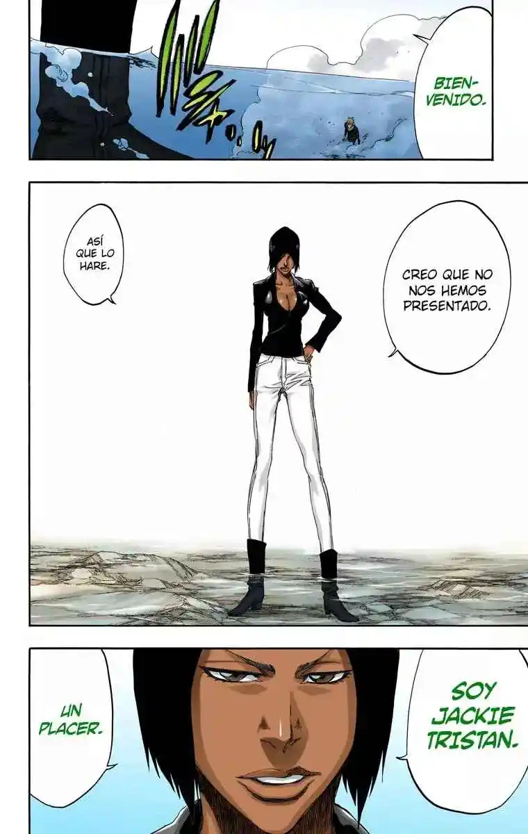 Bleach Full Color - Capítulo 441 - Página 19 - LectorTMOo