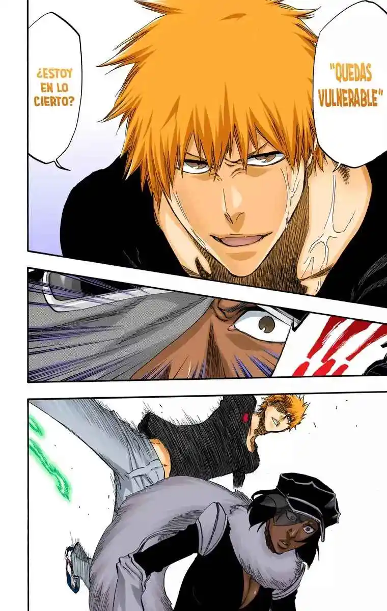 Bleach Full Color - Capítulo 443 - Página 17 - LectorTMOo