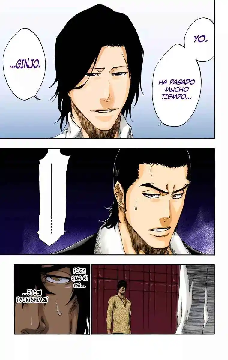 Bleach Full Color - Capítulo 444 - Página 16 - LectorTMOo