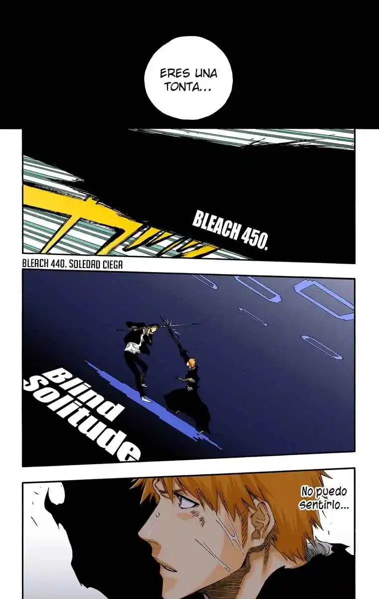 Bleach Full Color - Capítulo 450 - Página 15 - LectorTMOo