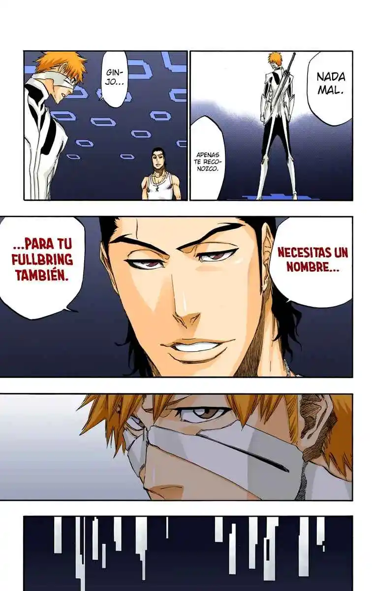 Bleach Full Color - Capítulo 452 - Página 14 - LectorTMOo