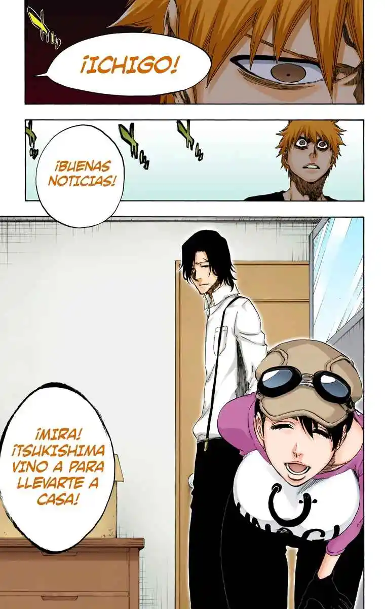 Bleach Full Color - Capítulo 453 - Página 18 - LectorTMOo