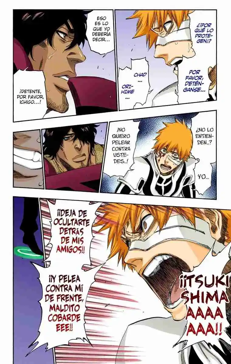 Bleach Full Color - Capítulo 457 - Página 17 - LectorTMOo