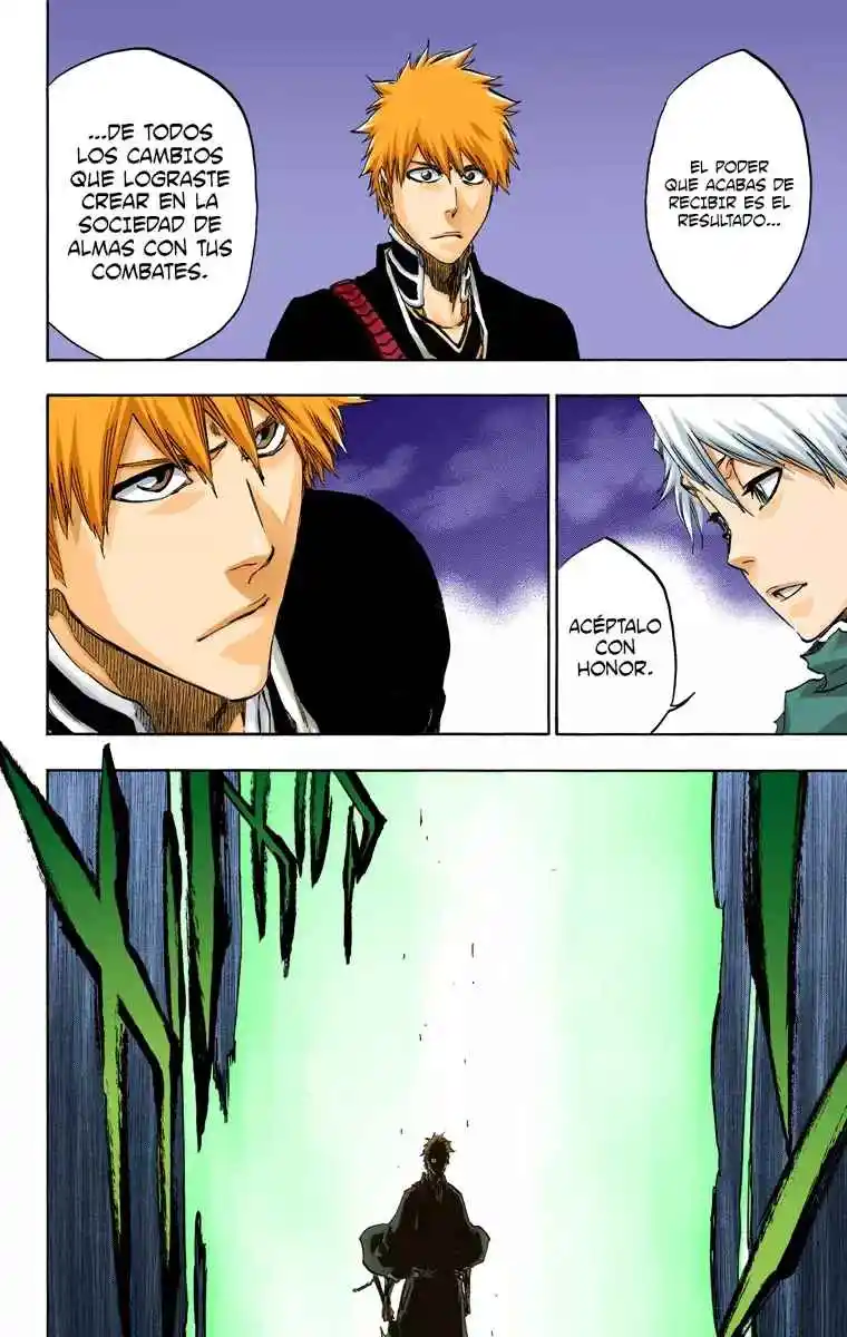 Bleach Full Color - Capítulo 461 - Página 17 - LectorTMOo