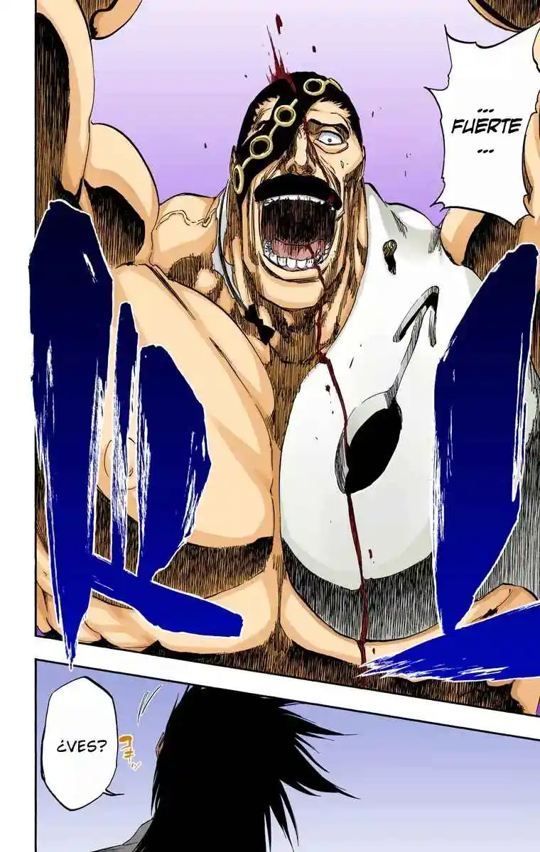 Bleach Full Color - Capítulo 463 - Página 17 - LectorTMOo