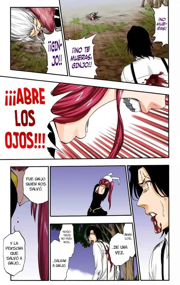 Bleach Full Color - Capítulo 477 - Página 18 - LectorTMOo
