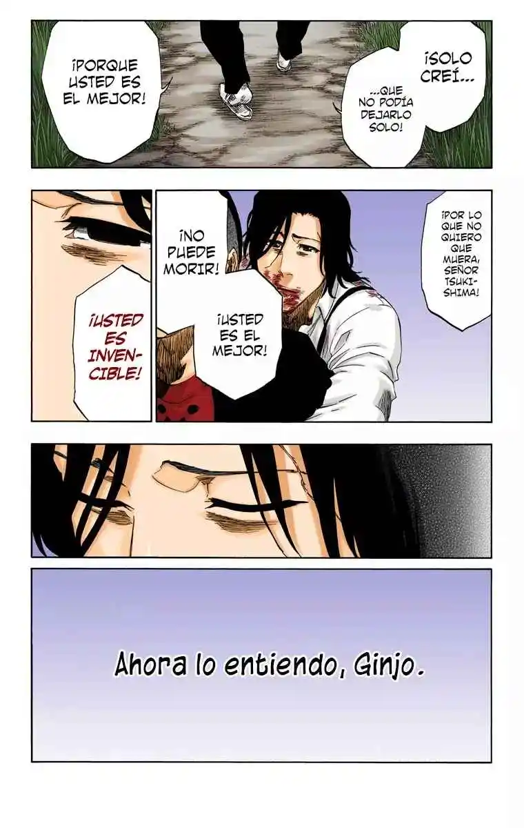 Bleach Full Color - Capítulo 478 - Página 18 - LectorTMOo
