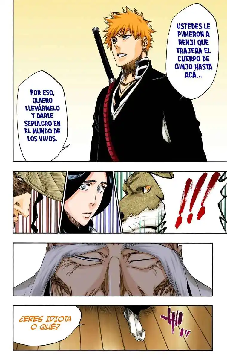 Bleach Full Color - Capítulo 479 - Página 13 - LectorTMOo