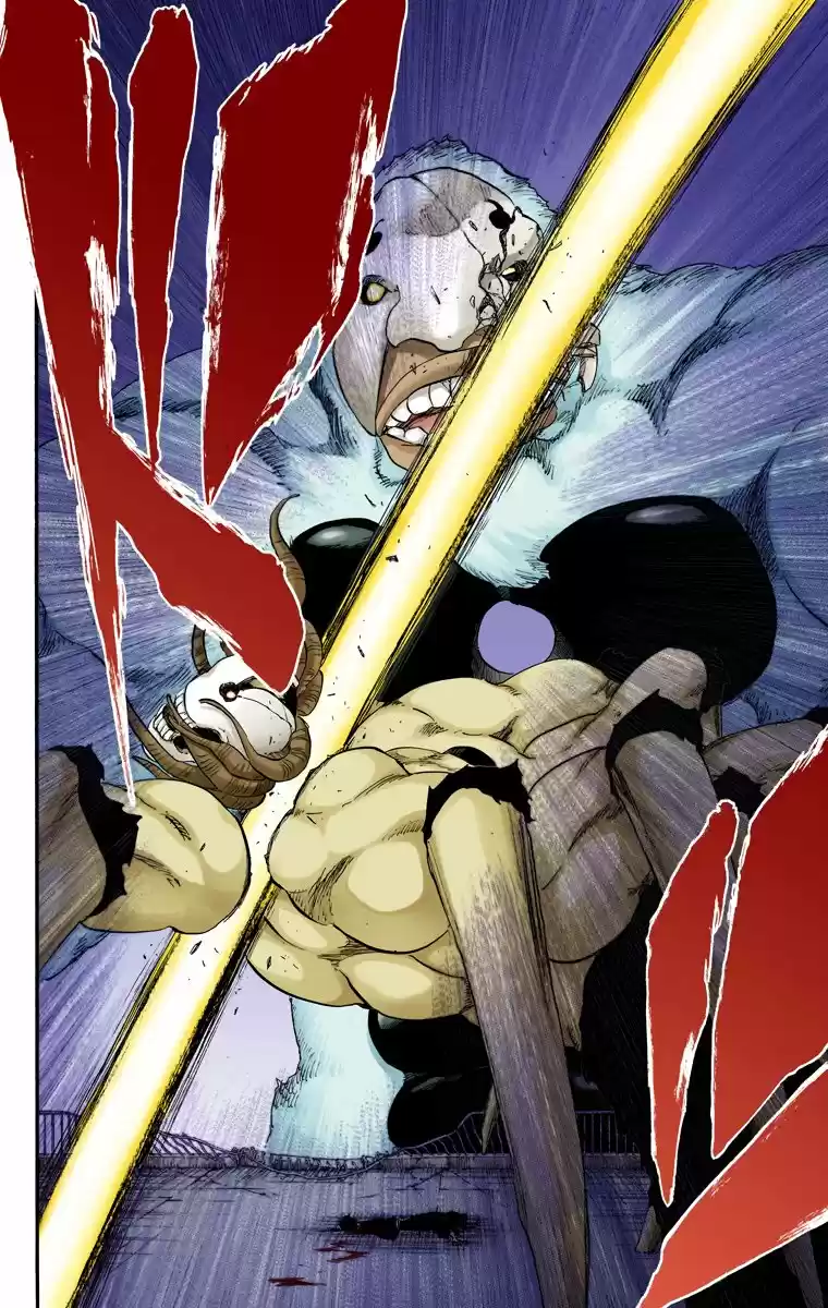 Bleach Full Color - Capítulo 480 - Página 22 - LectorTMOo
